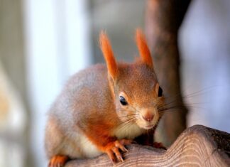 Jak się tworzy rezerwę na zobowiązania?