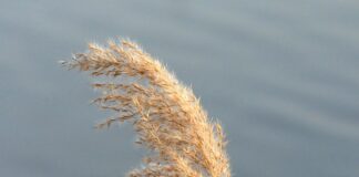 Czym różnią się przepisy BHP od zasad BHP?