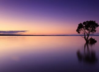 Jak zachować spokój w trudnych sytuacjach?