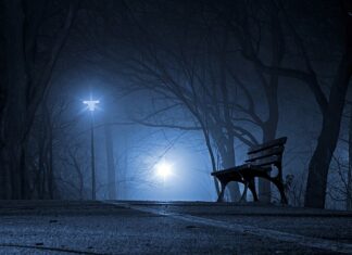 Czy Polska ma duże rezerwy walutowe?