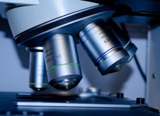 Co dają studia zarządzania?