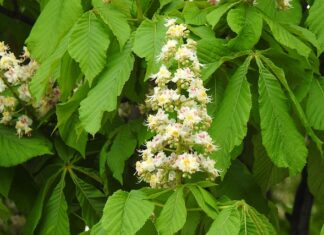 Jakie przedmioty trzeba zdawać na maturze na zarządzanie?