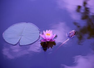 Czy medytacja to mindfulness?