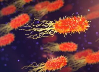 Jak wzmocnić organizm po stresie?