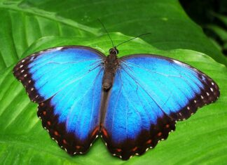 Jak zrobić wspólna relacje na ig?