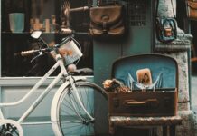 Ile trzeba mieć pieniędzy żeby otworzyć sklep internetowy? Ile trzeba mieć pieniędzy żeby otworzyć sklep internetowy?