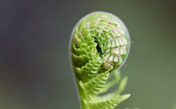 Jak rozwijać swój zespół?