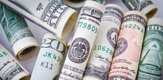 Skąd NBP ma rezerwy dewizowe?