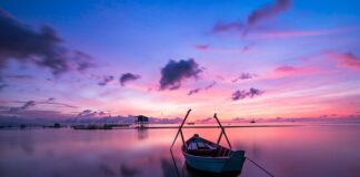 Jaki kolor paska do białych spodni?