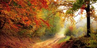 Co zrobić gdy nie ma ścieżki rowerowej?