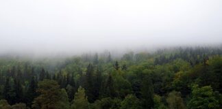 Jak zasłonić sutki?