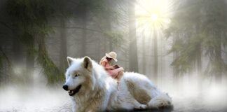 Jak ustawić przybornik w gimpie?