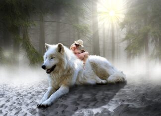 Jak ustawić przybornik w gimpie?