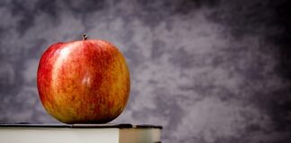 Co trzeba umieć w 1 klasie?