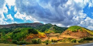 Gdzie można kupić nakładki na sutki?