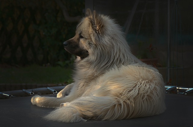 Jakie skarpetki na trampoliny? Jakie skarpetki na trampoliny?